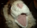 DSCF2807.JPG